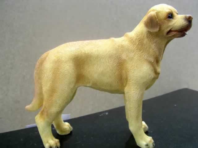 labrador dog blueprint