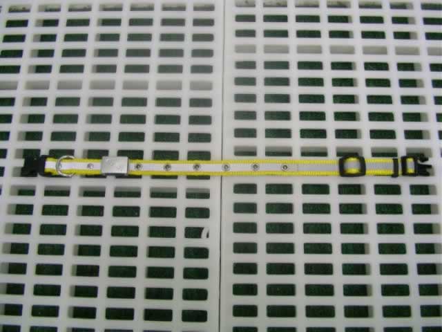 LED Flash 13-17" Dog Collar(#46121)
