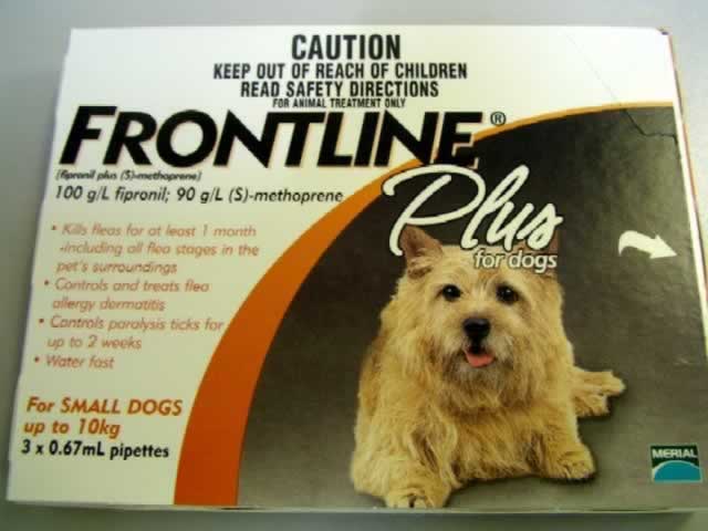 Frontline Plus for dog under 22lbs(10kg) 3 pipettes